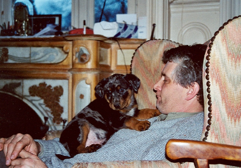 raja