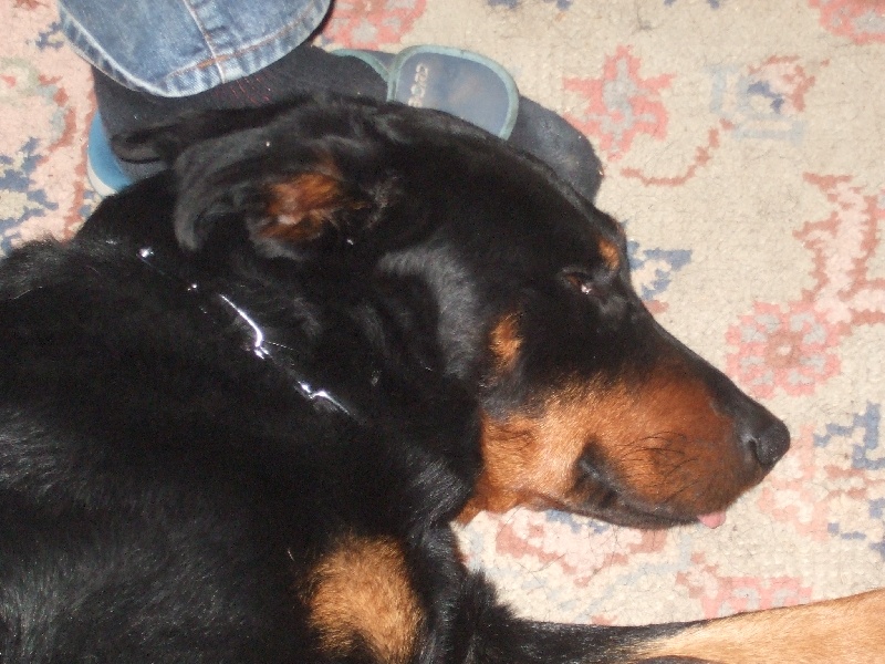 alaska dit athos